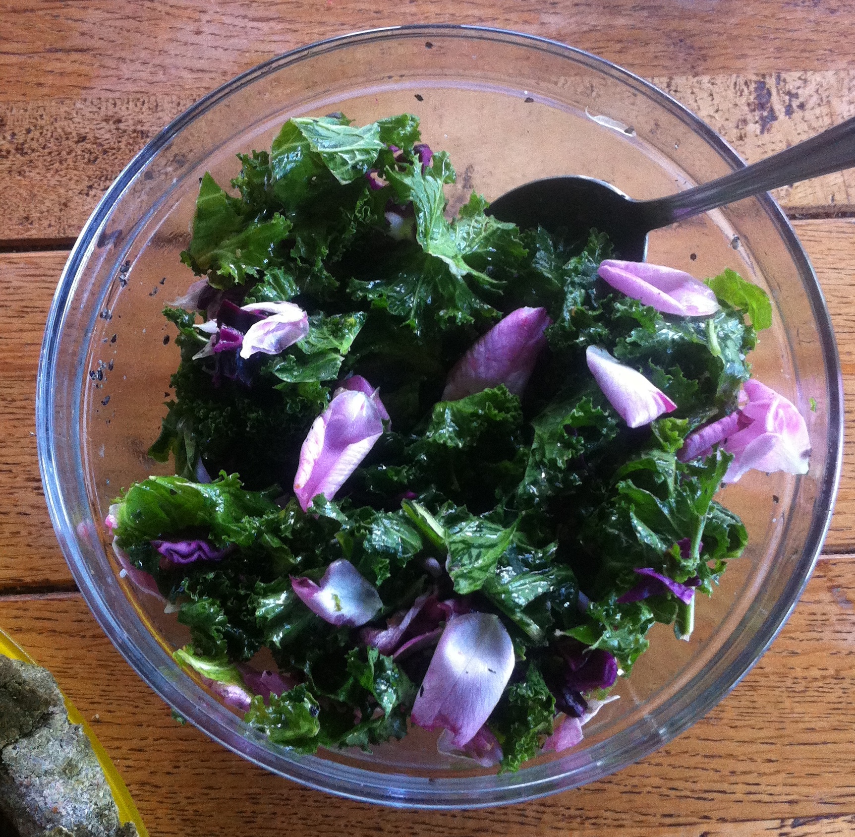 Salade Kale rose trèmière