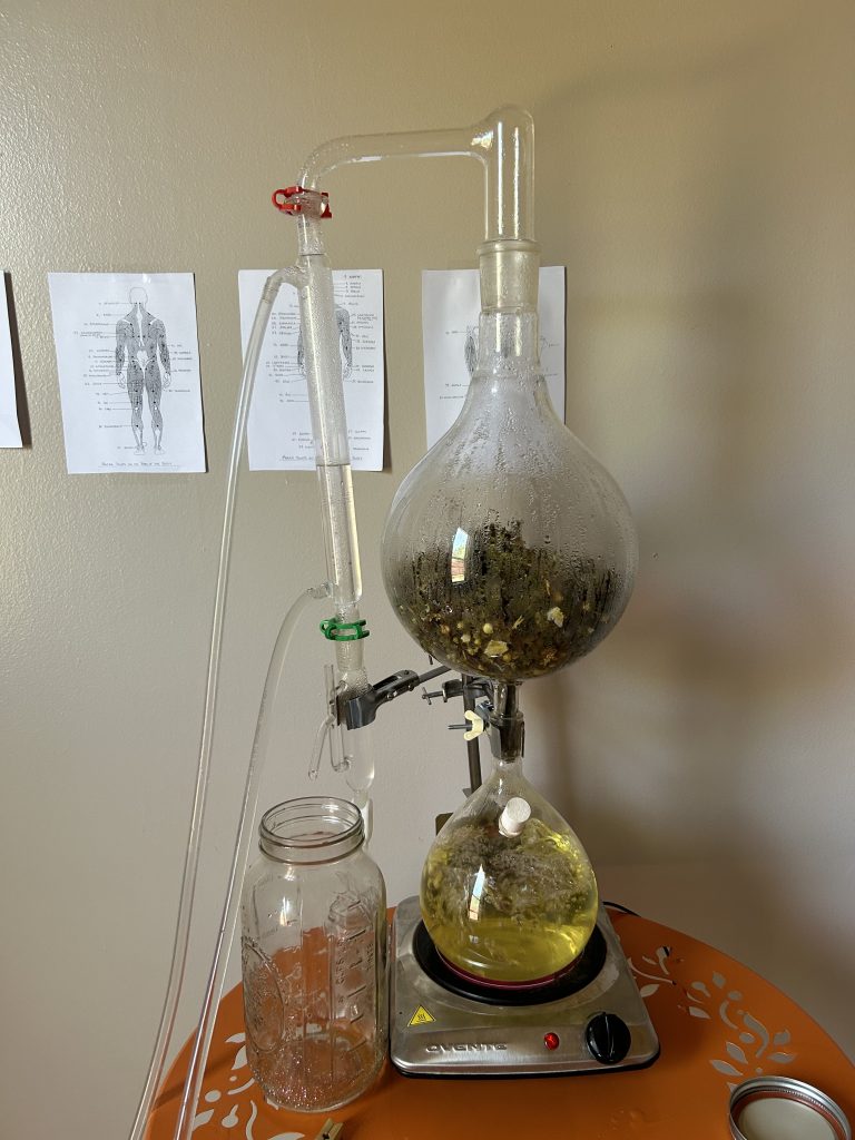 distillation cliff rose